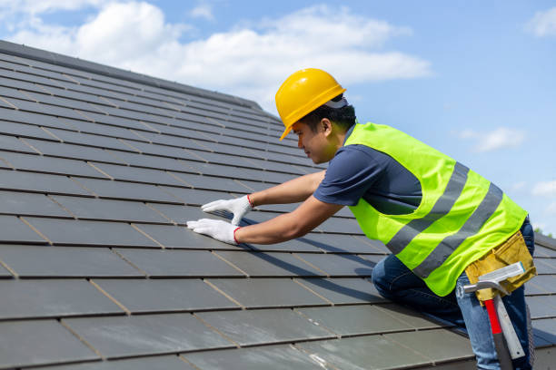 Best Storm Damage Roof Repair  in Sheridan, IN